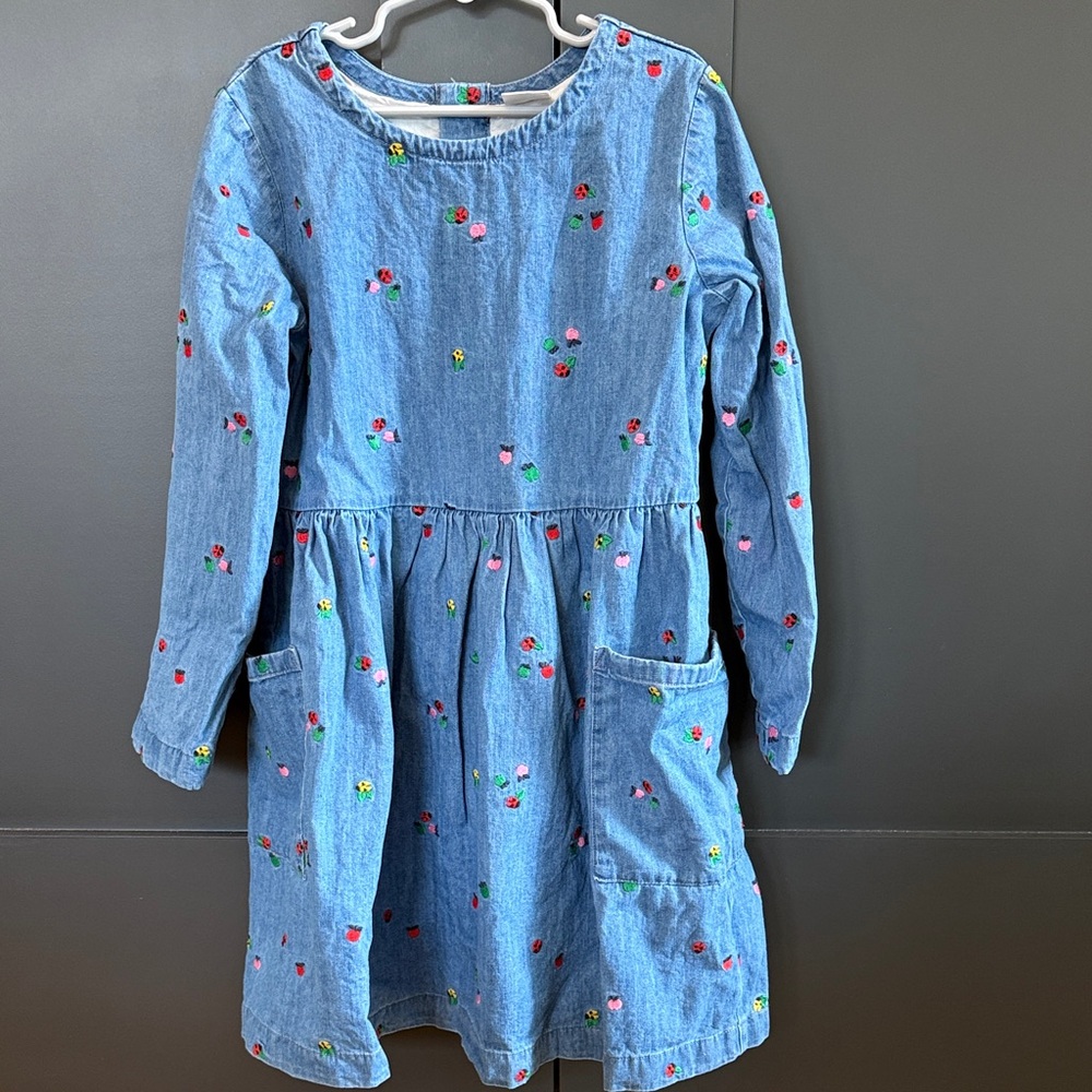 Hanna Andersson Embroidered Ladybug and Fruit Jean Dress